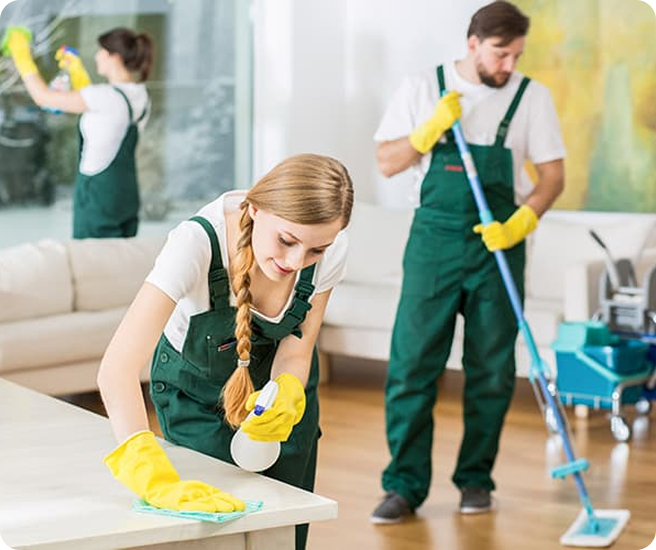 Services - Clean Era